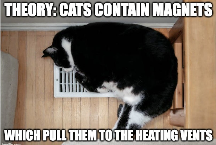 REGALINC's tweet image. There’s a scientific theory that cats have built-in magnets…
…because how else do they always stick to the coolest vents in the house? 😹❄️ 

#FunFriday #CatScience #StayCool