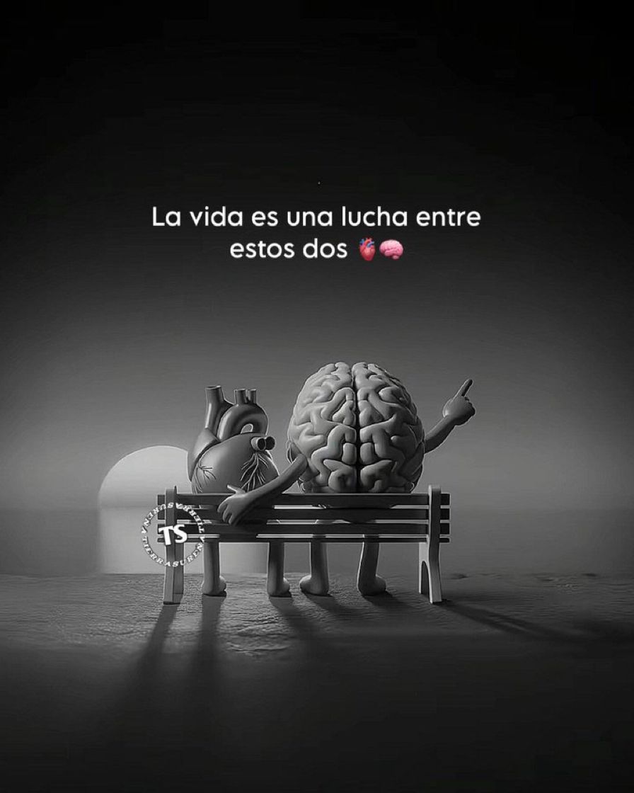 MentalidadFeroz's tweet photo. https://t.co/GTM4UYY2yP