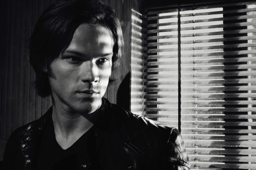 Ardan🐲𓃡 (@rudanechka) on Twitter photo 