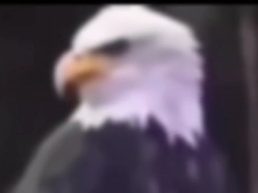 merdo313's tweet image. siker jk