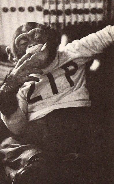 کیرته داداش