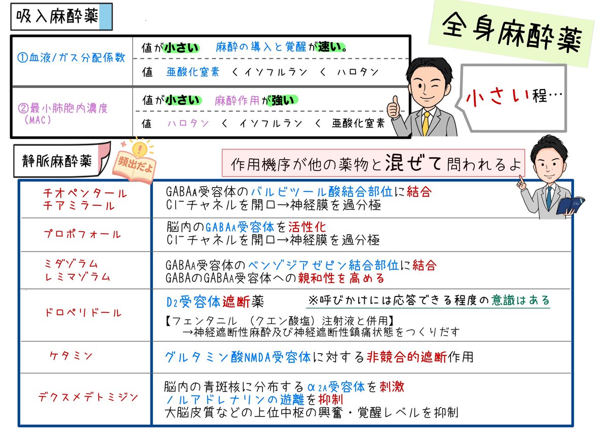 気づけばもう朝ですね。 薬理学『全身麻酔薬』のまとめ、完成です 