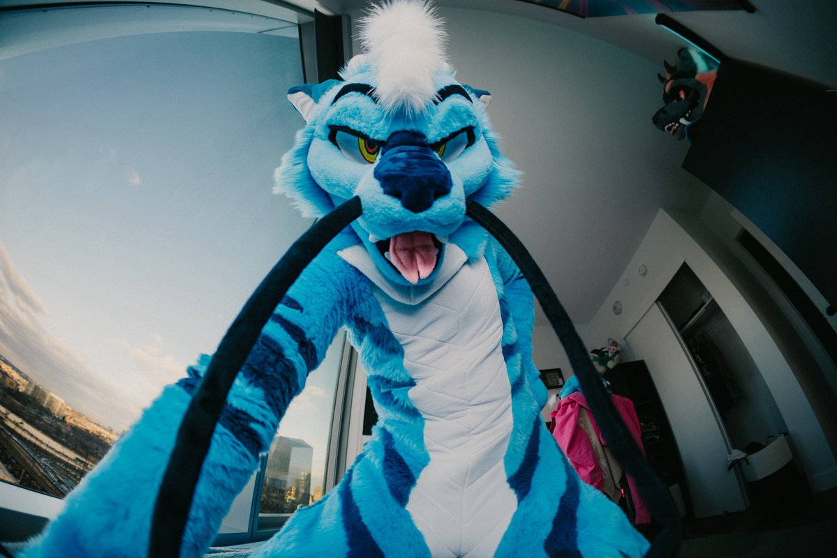 POV I catch you after you steal my blueberries &gt;:3

🪡 - <a href="/Coyotes_Calling/">CoyotesCalling ➡️AC2025</a> 
📸 - <a href="/Flaumy_/">Flaumy</a> 

#FursuitFriday