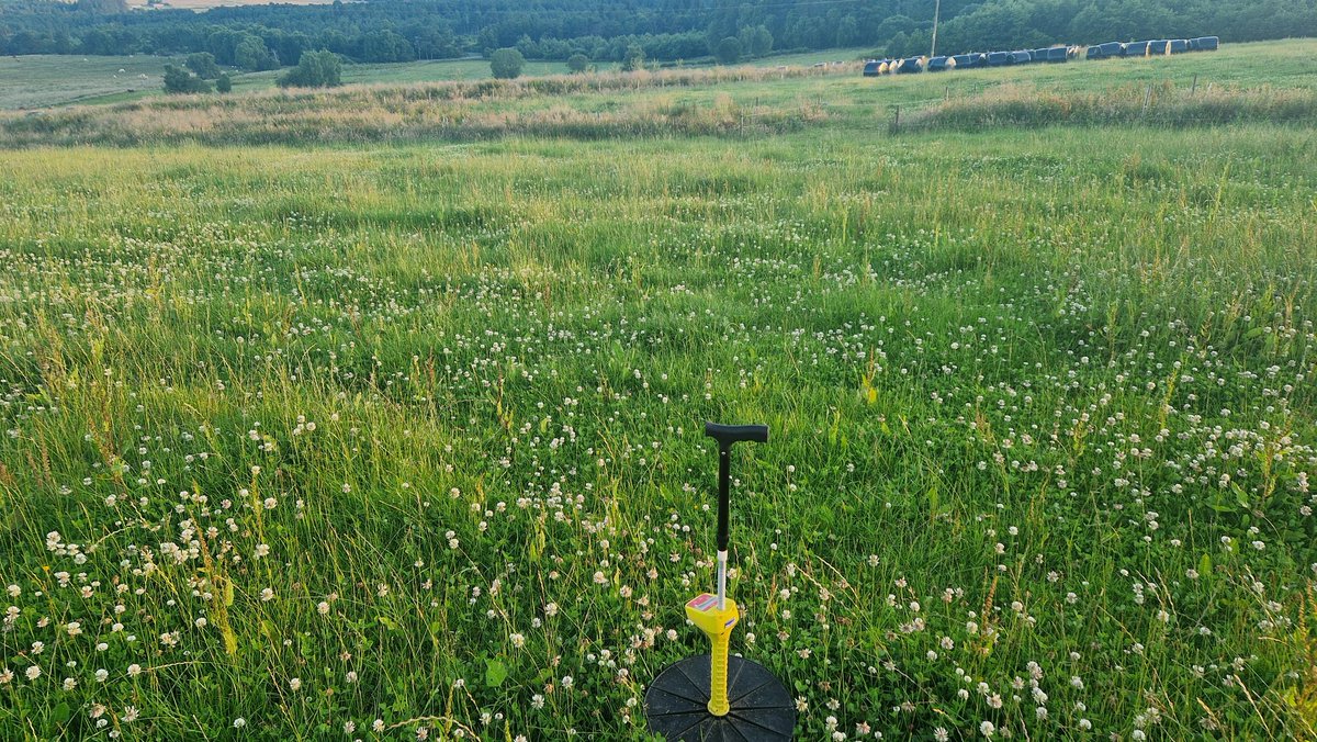 EdinvaleFarm's tweet image. Evening grass walk to help think out options. Growth below ave at 30kg and maintaining afc at 3000. Taller covers showing better growth as usual. 
Silage yields back by about 30% so looking at opportunistic cutting options without affecting grazing platform too badly