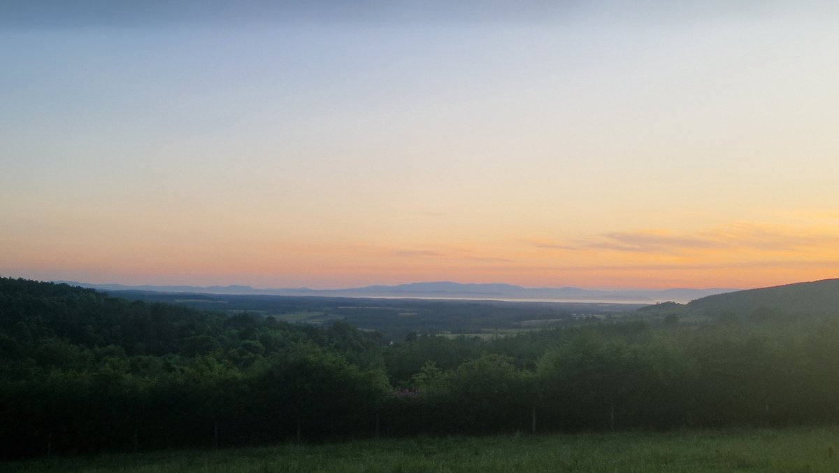 Evening grass walk to help think out options. Growth below ave at 30kg and maintaining afc at 3000. Taller covers showing better growth as usual. 
Silage yields back by about 30% so looking at opportunistic cutting options without affecting grazing platform too badly