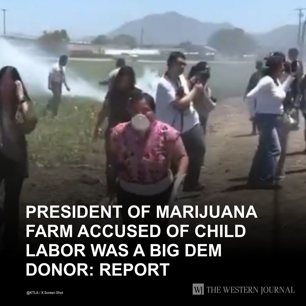 WesternJournalX's tweet photo. Federal agents raided two marijuana farms in California on Thursday, both operated by a top Democratic donor, according to Fox News. Glass House Farms President Graham Farrar has donated thousands to Democrats across the state. Farrar, who identifies on… https://t.co/kZqnbTYirP https://t.co/U76GaME2Qz