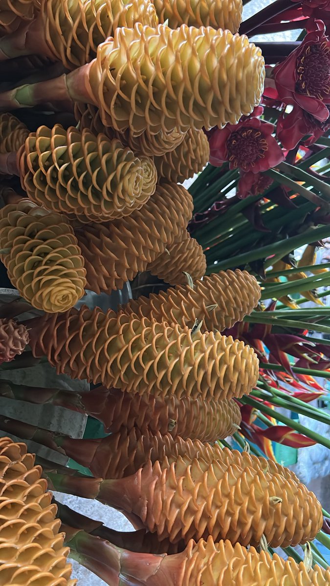 divinely daria ☿ (@divinelydaria) on Twitter photo 