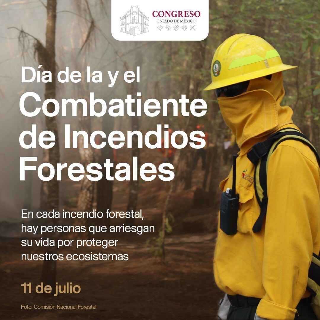 Gracias a quienes defienden nuestros bosques desde la primera línea. 

🌳🔥 Su labor también merece leyes que los protejan.
#CongresoEdomex #HéroesAmbientales