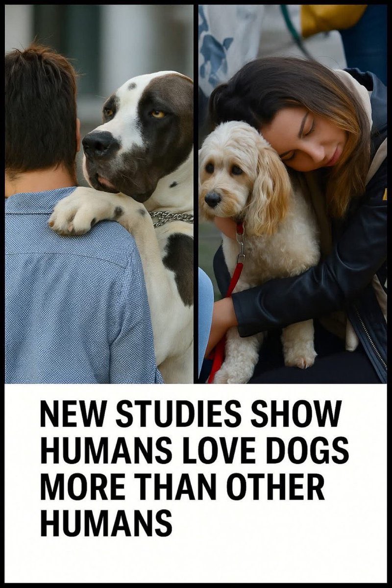 Puppies 🐶 tweet media