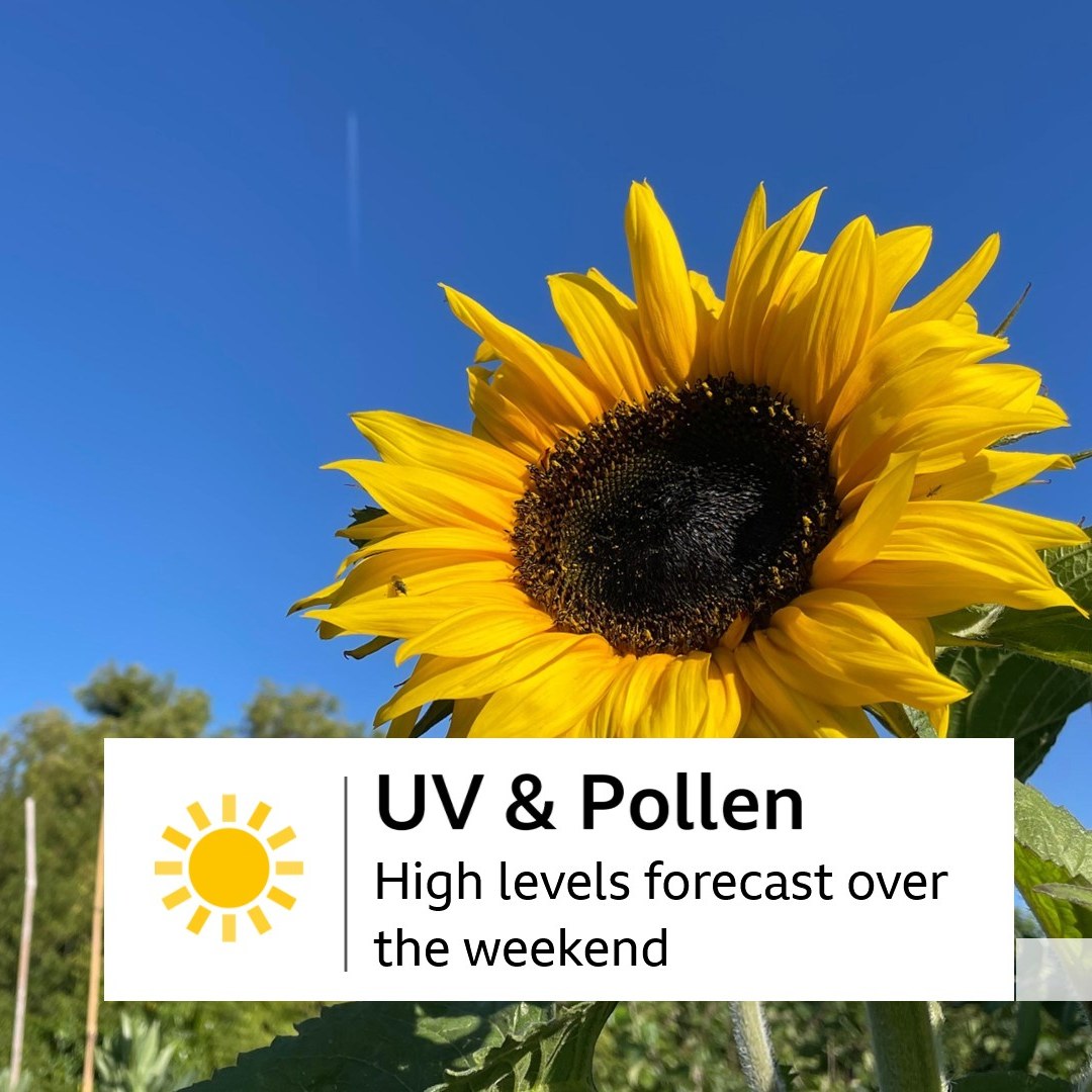 ☀️🔥 Weekend Heatwave Update! 🔥☀️
Saturday &amp; Sunday flirting with 30°C in some spots!
🌞 UV's on max, 🌼 pollen’s throwing a party — plan accordingly!  Cooler unsettled weather sneaks in late Sunday, so soak it up while it lasts! 😎🍦 #Heatwave #WeekendVibes #SunSquad