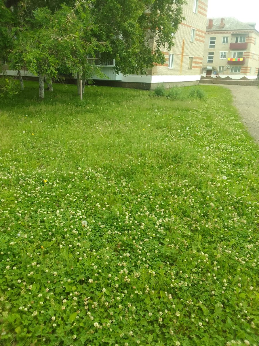 #openseatouchgrass