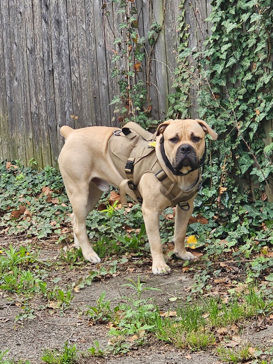 𝓜𝓼. 𝓐𝓵𝓲𝓼𝓪 tweet media