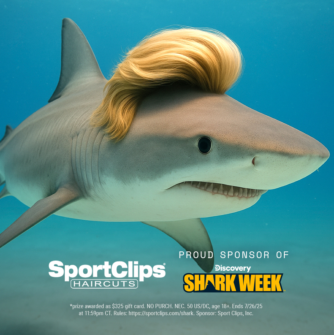 Boss: We’re sponsoring Shark Week!​ Social Team: Say less.

We’re giving away FREE haircuts for a year* for each day of Discovery’s #SharkWeek. Enter now and watch Shark Week on <a href="/Discovery/">Discovery</a> starting July 20!
➡️ sportclips.com/shark