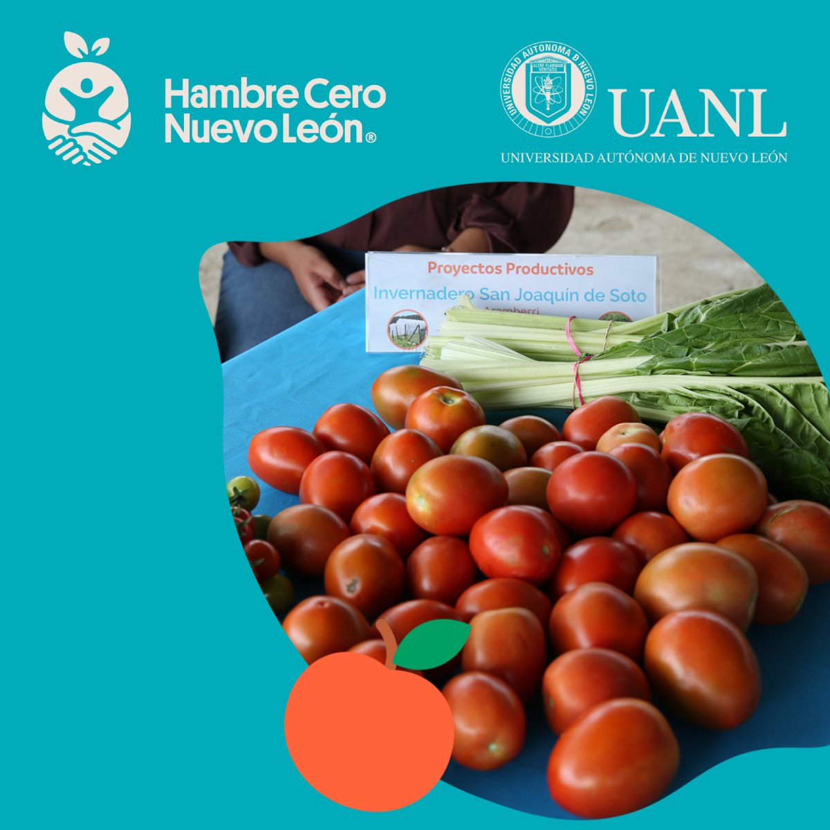 Por medio de proyectos y campañas, la Estrategia <a href="/hambreceronl/">Hambre Cero Nuevo León</a> 🤲🍊 capacita a las comunidades en vulnerabilidad y la población en general para construir juntos 🤝🧡 un camino hacia la inclusión social y una buena alimentación 🍽️✅ para todos.

#UnaCausaDeTodos