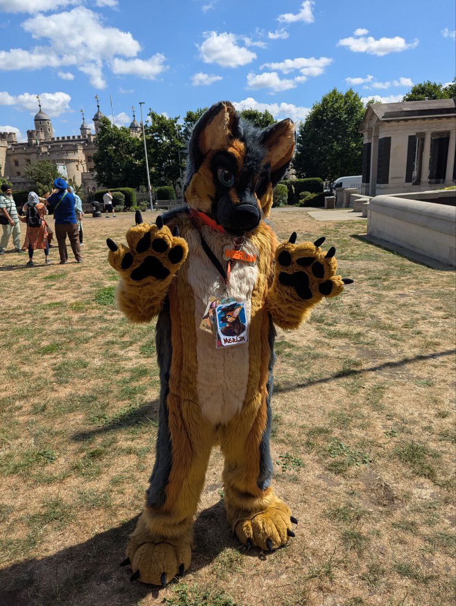 Who is this puppy gonna see at <a href="/MancFurs/">MancFurs</a> tomorrow . It’s gonna be a warm one !

Anyone wanting a fluffy cuddle I’ll be there ! Come and say hi 👋