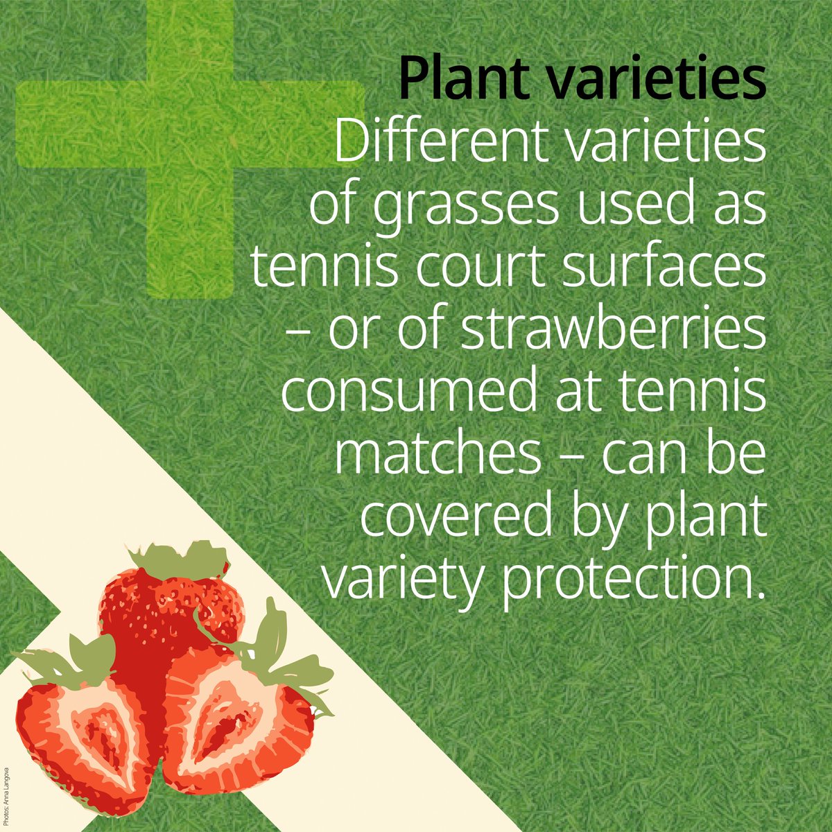 WIPO's tweet photo. Alcaraz. Sinner. 🍿

Wimbledon’s men’s final is set.

While we wait to watch the action on court, there’s another game happening behind the scenes: Intellectual property.

Take a look ⬇️

#Wimbledon