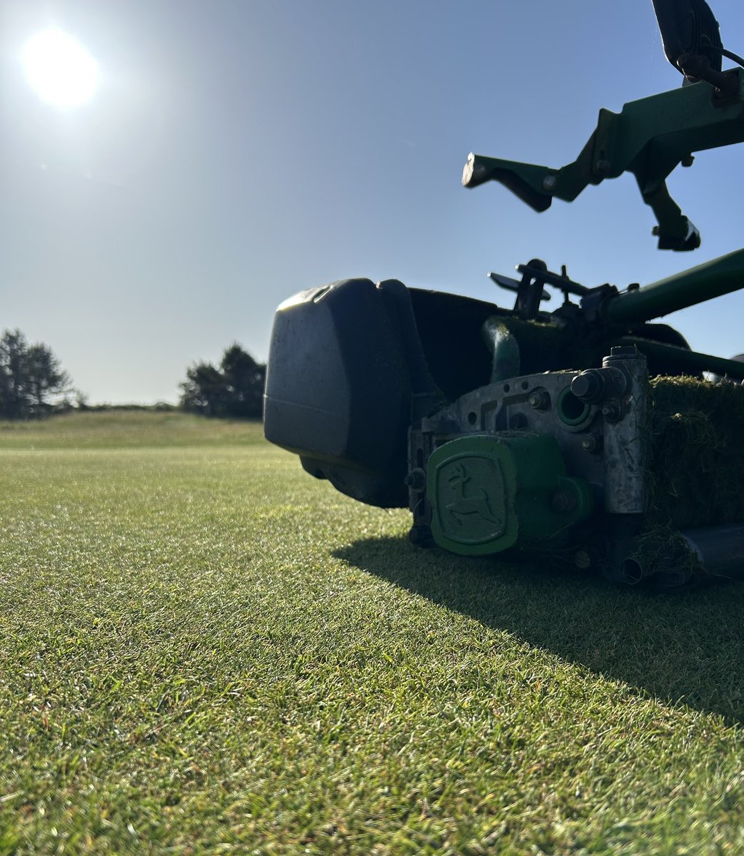 Colin7211's tweet photo. Little bit of sunshine mowing aprons this morning https://t.co/VJhsEON5he