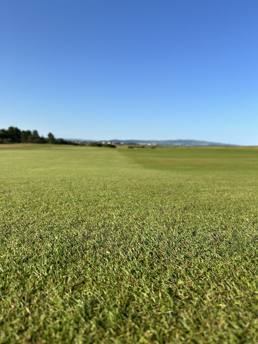 Colin7211's tweet photo. Little bit of sunshine mowing aprons this morning https://t.co/VJhsEON5he