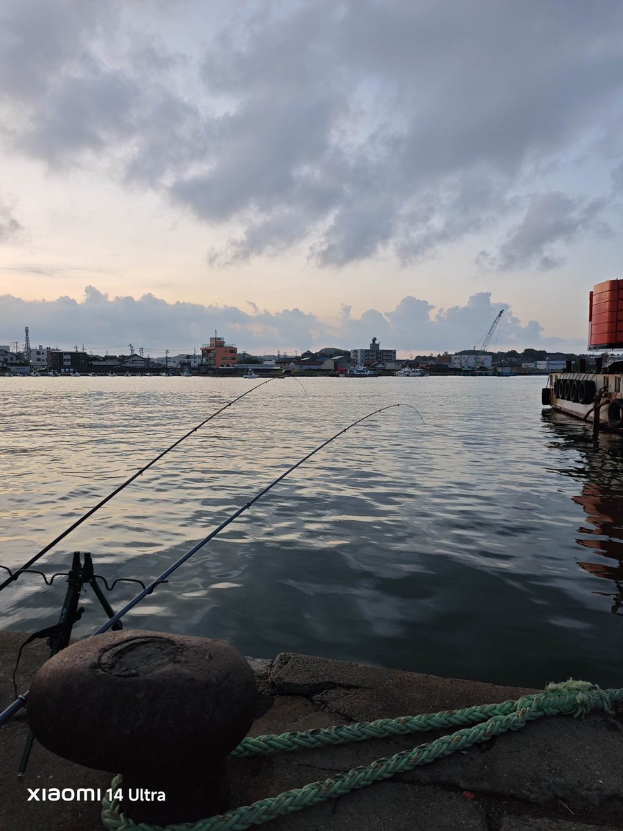 3週連続でサビキ釣りですが今日は当たりがありません。。。
どうしちゃったのかな🐟️