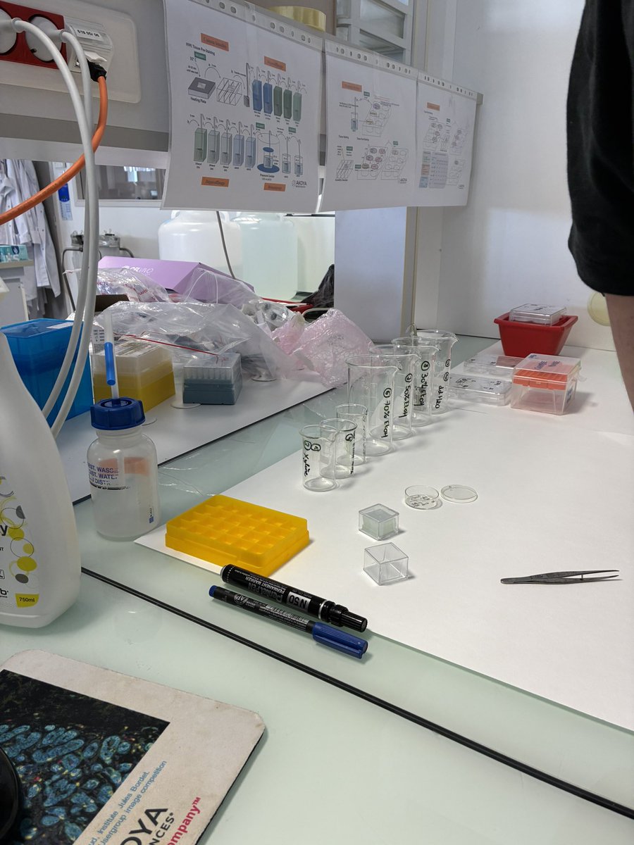 Dévina C. Ung tweet media