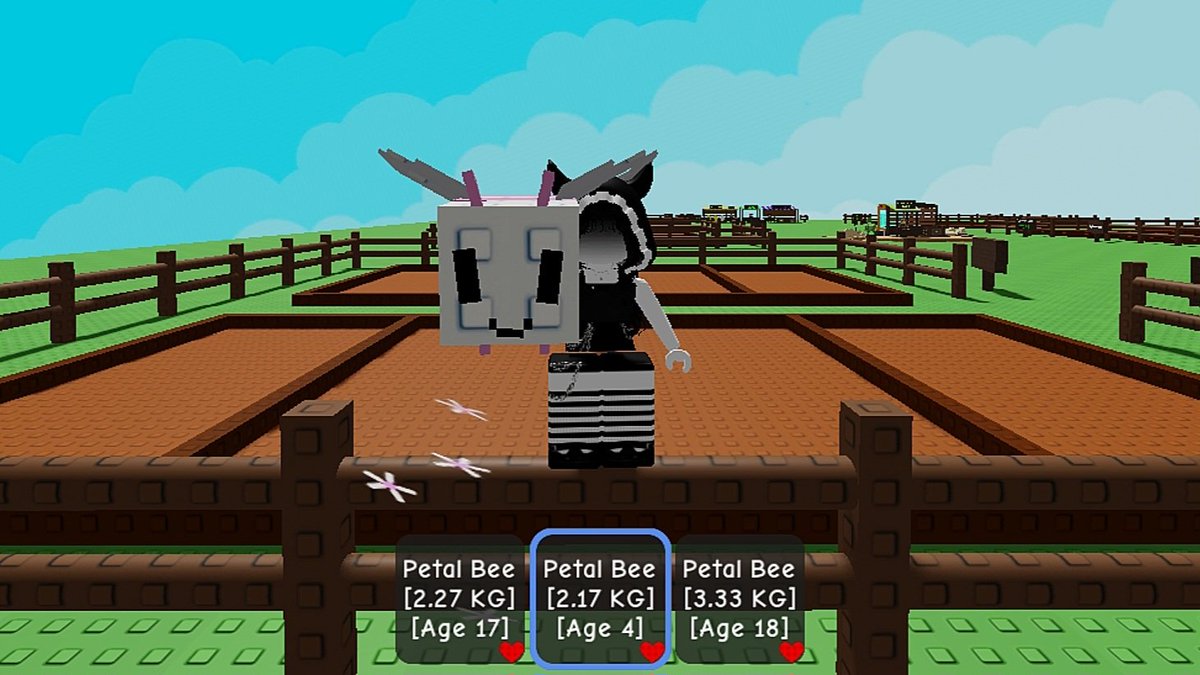 k, @ after dm tweet media