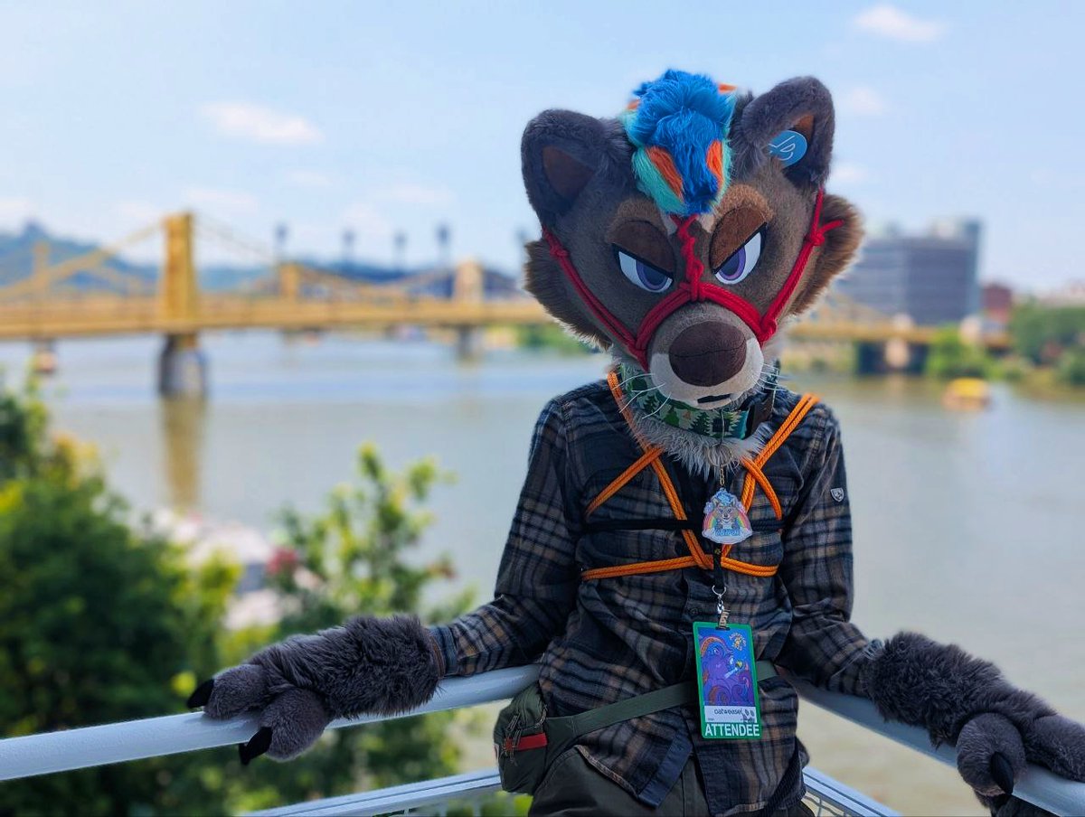 a lot has happened between this #FursuitFriday and the last. i will be forever grateful for the connections i got to make and strengthen last weekend at anthrocon.

u all know who u are and things wouldnt be the same without you, my silly little critter family ❤️