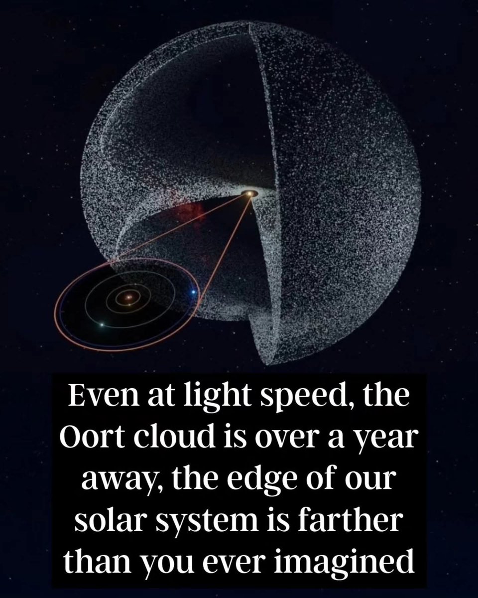 zone_astronomy's tweet image. The Oort Cloud, a distant, spherical shell of icy bodies surrounding our solar system, marks its outer boundary and lies far beyond what most imagine. 

Even traveling at the speed of light—approximately 299,792 kilometers per second—it would take over a year to reach the Oort…