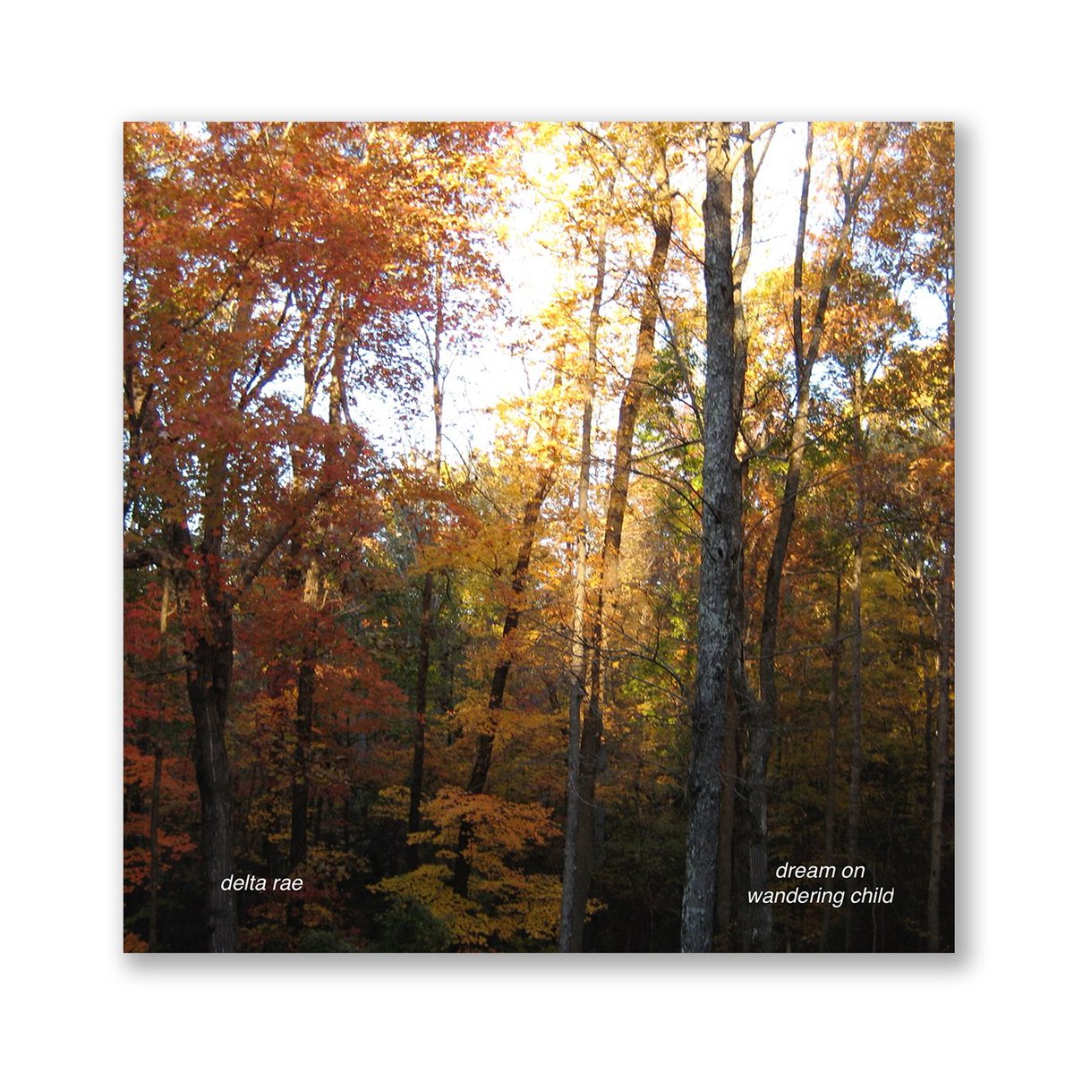 NEW SINGLE
“DREAM ON WANDERING CHILD”
— OUT NOW — 

dream.deltarae.com