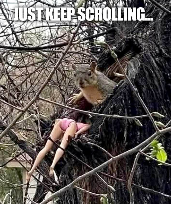 Well alrighty then.. 😂😂😆😂😆😂😆😂😆