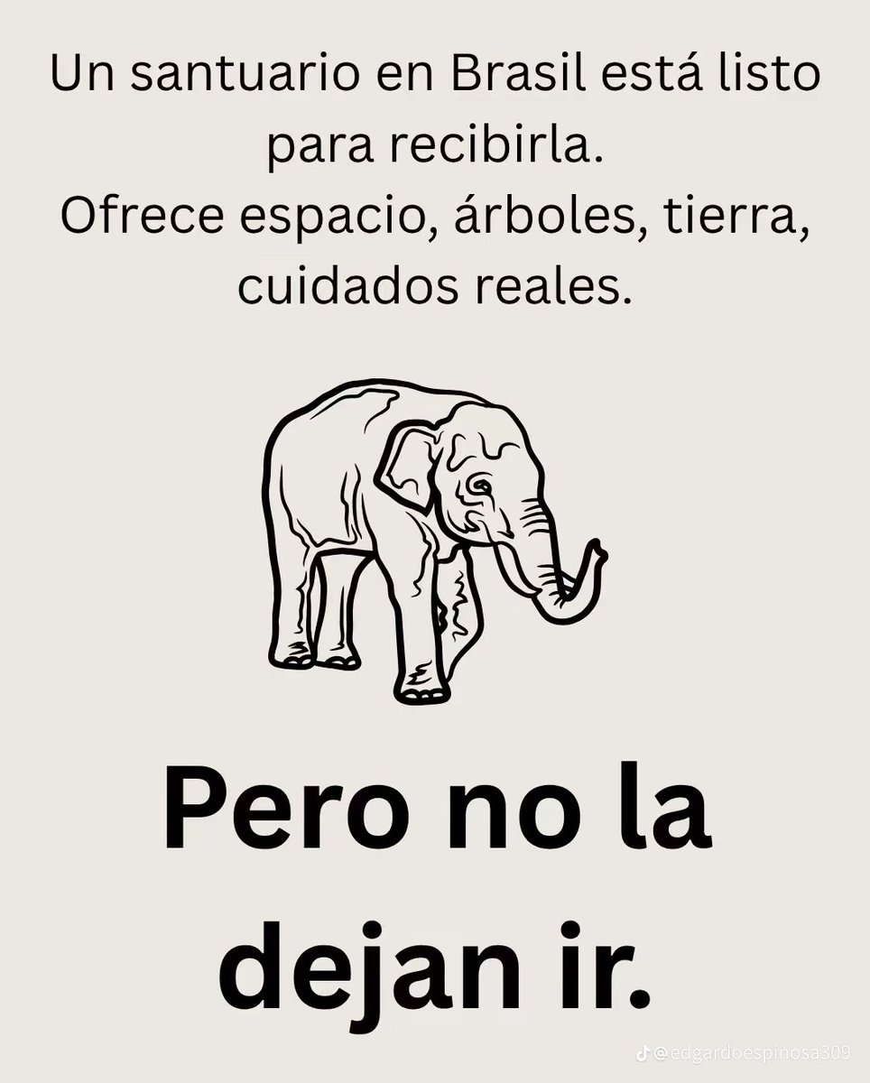 Brenn0505's tweet image. Imagínate que pases 42 años encerrada y sola, en el mismo lugar y sin convivir con otros como tú y que ya siempre estés triste y con estrés!!
Yo sí me lo imagino y me duele la vida de Ely, que ya no es vida.
Y que para los jueces no sea importante.
Por humanidad salvemos a Ely.