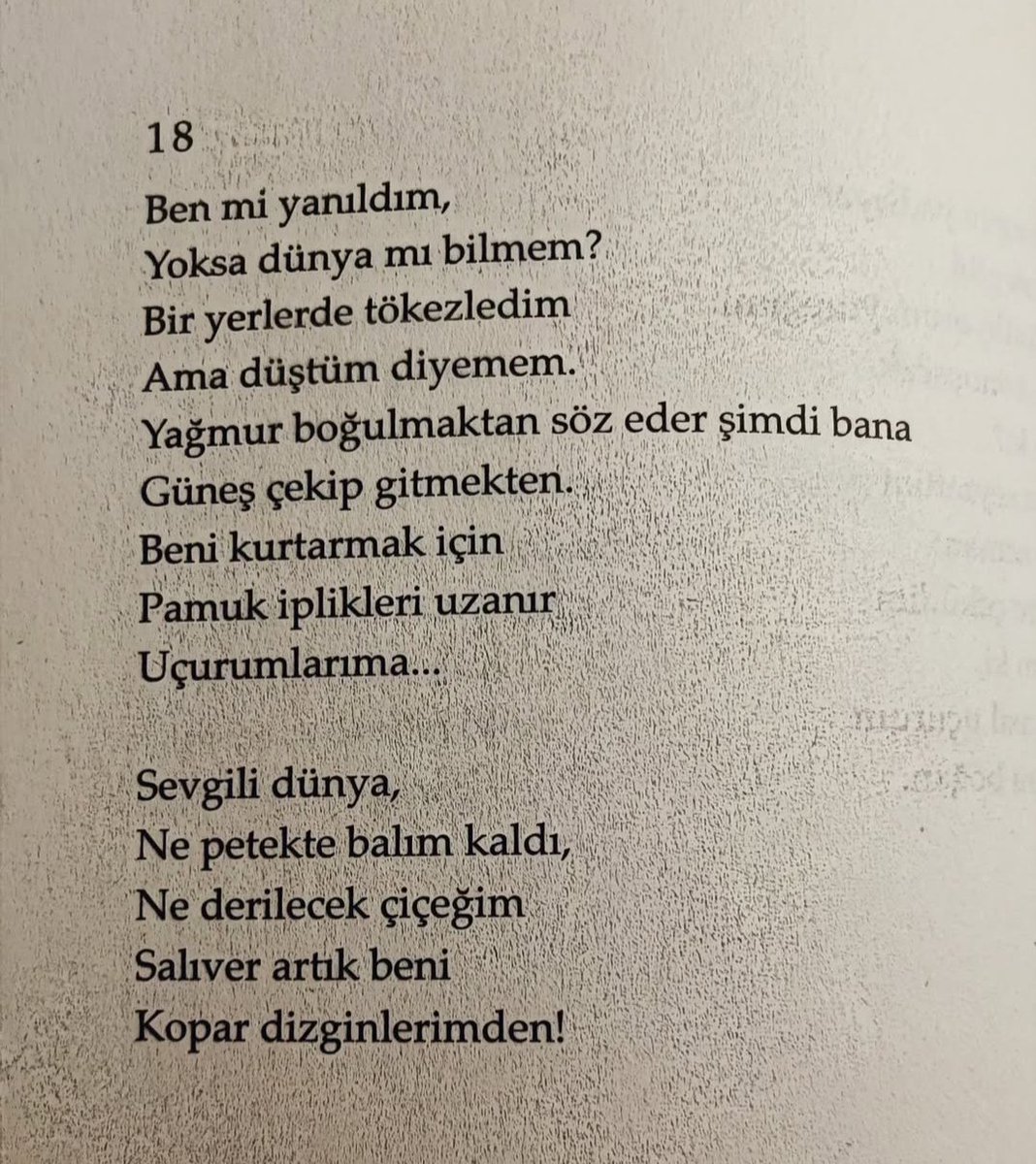 Ahmet Erhan