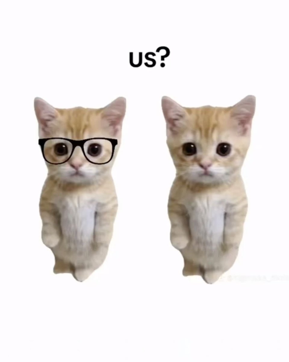 ♡ (@astralbaes) on Twitter photo 