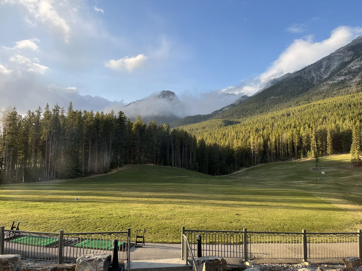 Mark Harding tweet media