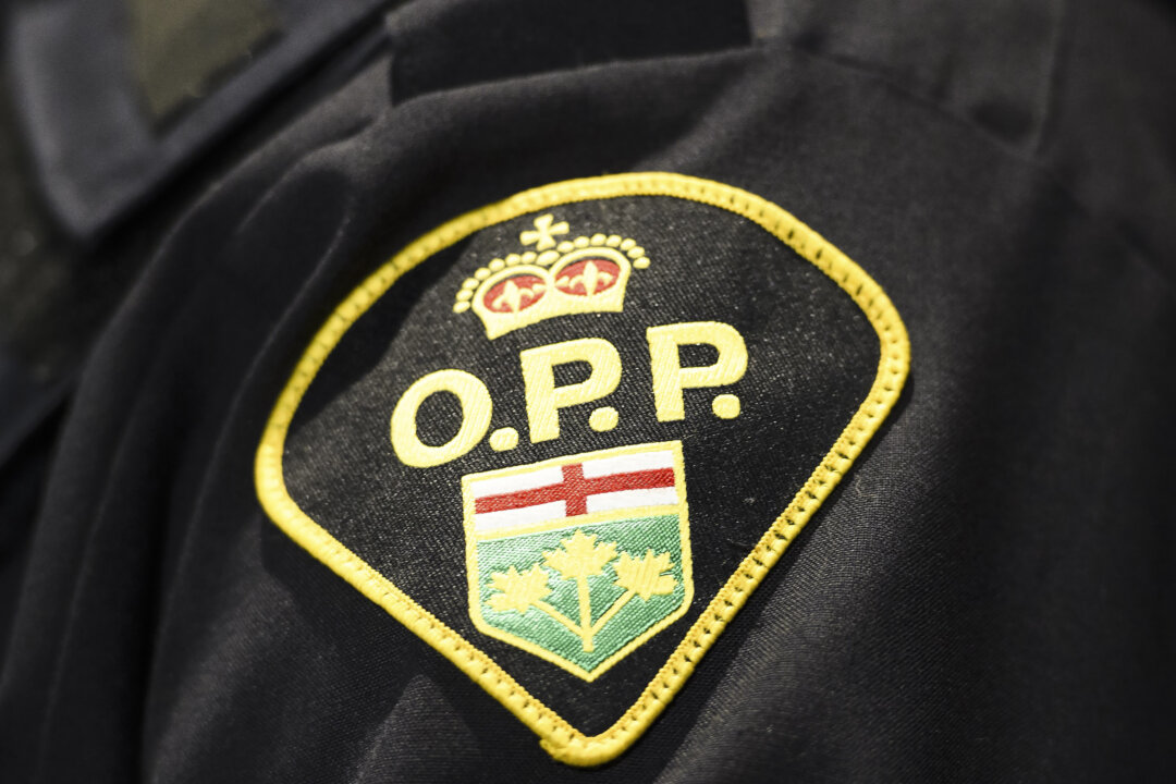 Lieutenant Colonel Reagan (@bobbyr75) on Twitter photo In Assault Initially Blamed on an Animal, Teen Charged With Attempted Murder for Attack on 8-Year-Old Girl . Thoughts? theepochtimes.com/world/in-assauβ¦ In Assault Initially Blamed on an Animal, Teen Charged With Attempted Murder for Attack on 8-Year-Old Girl . Thoughts? theepochtimes.com/world/in-assauβ¦