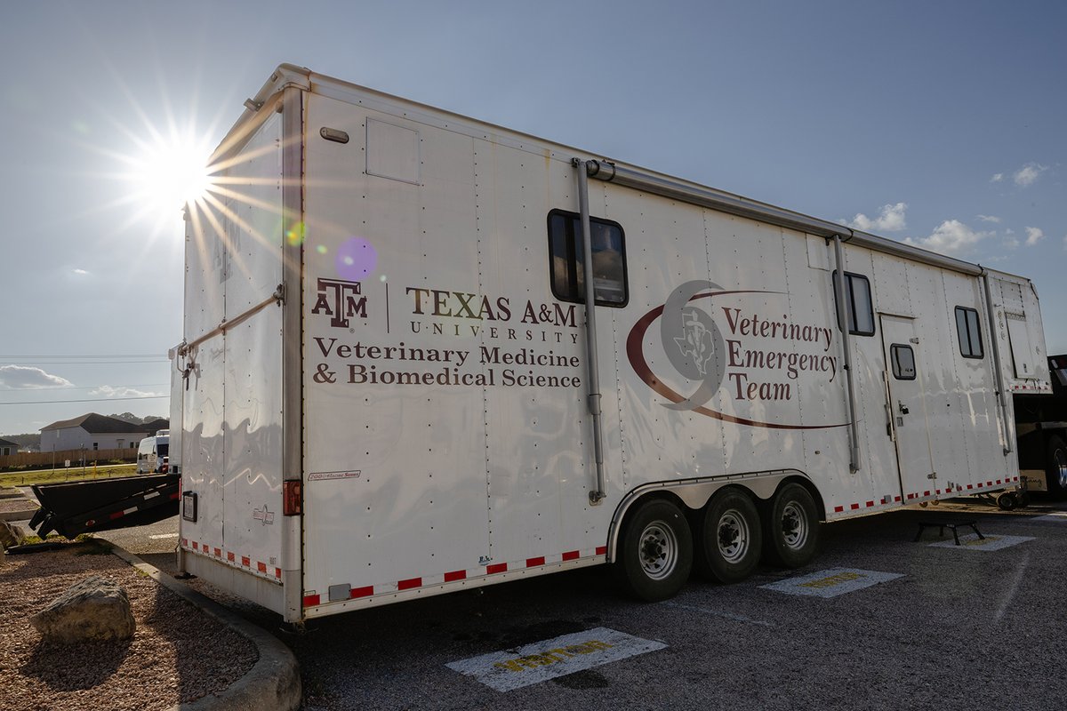 tamuvetmed's tweet photo. The Texas A&amp;M Veterinary Emergency Team has been providing essential veterinary care to the working canines on the front lines in Kerr County to support ongoing search-and-rescue efforts following the devastating flooding in the region.

More: https://t.co/eH9hDSf5qu

#TAMUVetMed https://t.co/1zNeGSnH3m