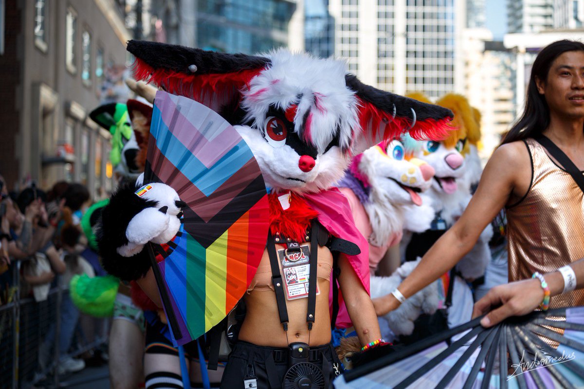AngelTheFennec's tweet image. It’s pride all day, everyday! Be whoever you want to be, you don’t need a label to be accepted, just be yourself!
📸: @AndromedusWolf
#FursuitFriday #furry #Pride2025 #fursuit