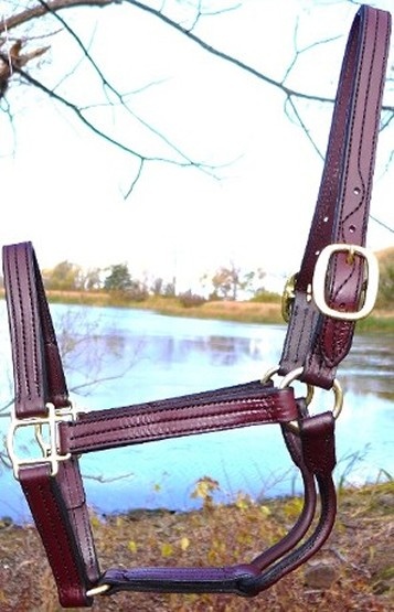 Discover the elegance and quality of Danzing Brothers Amish Track Halters. Handcrafted with solid brass hardware and a Kentucky Walnut Finish Oil Dipped. Get yours today: tinyurl.com/ye235pks  #HorseTack #AmishCraftsmanship