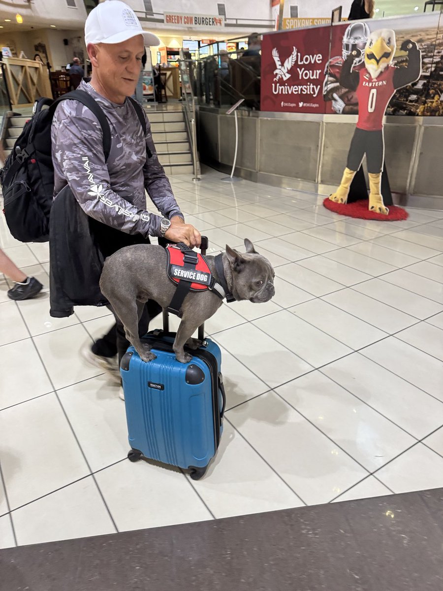 What sort of service is he providing, other than comedy??