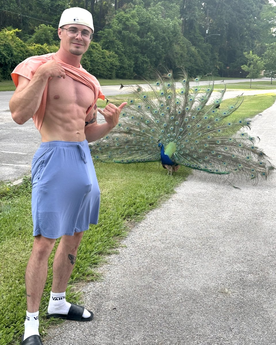 Check the comments to see my peacock 😉