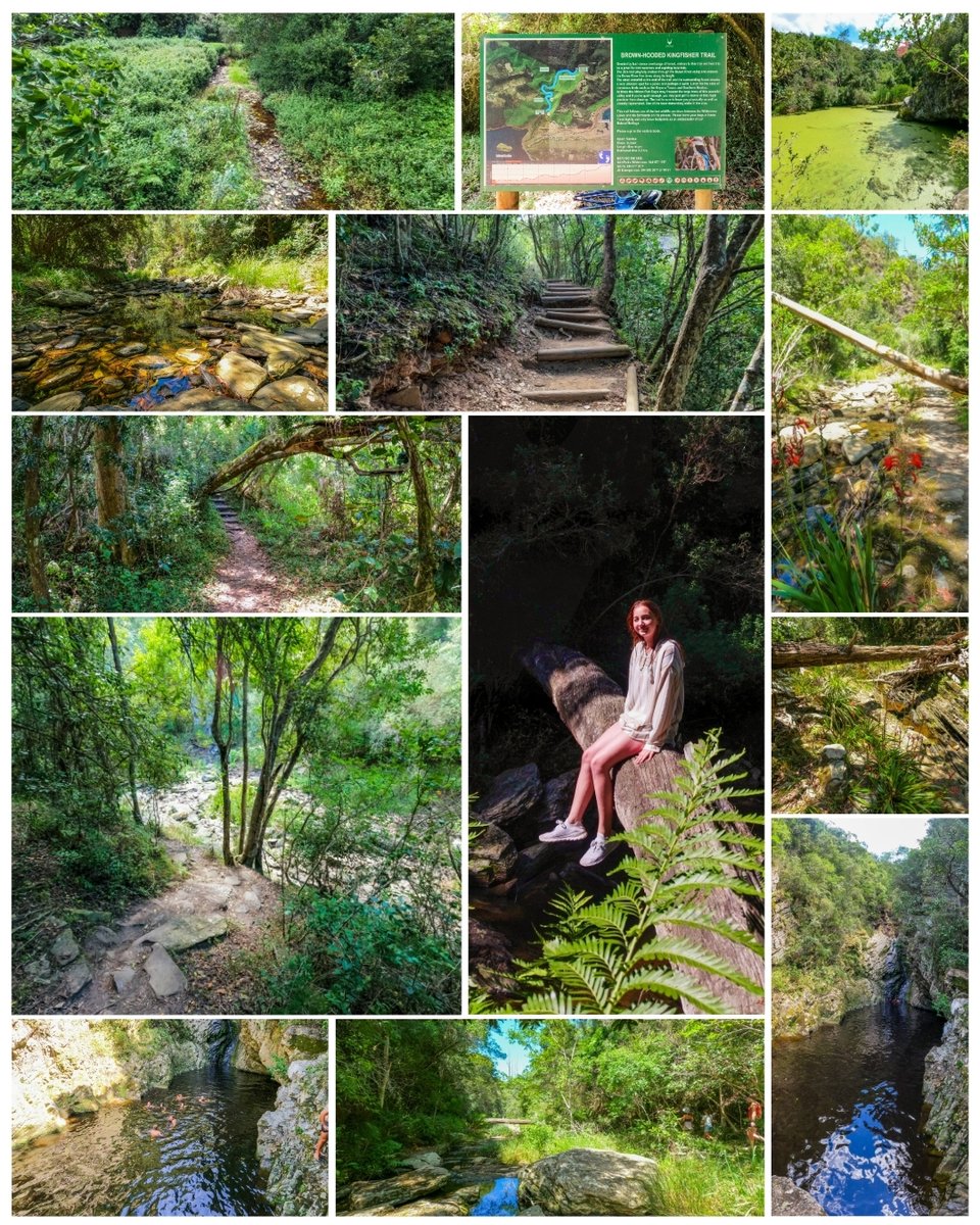 We took a slow walk along the Brown-hooded Kingfisher Trail - and what a win. 🌿 It’s an easy trail, short, but still packed with beauty all the way. The forest was peaceful, the paths were clear, and the swim at the waterfall at the end - icy, fresh, and 100% worth it. 💦

And