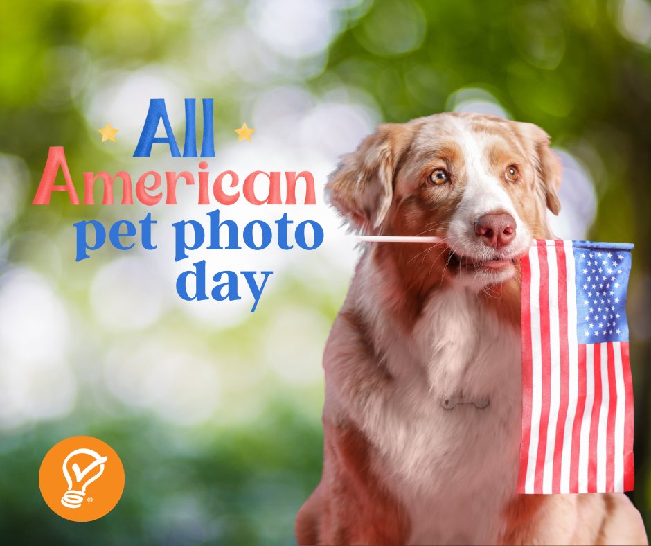 📸🐾 It's All American Pet Photo Day! — and we want to see your furry, feathered, or scaly sidekicks!
 Drop a pic of your pet in the comments or tag us in your post. 

Bonus points for patriotic bandanas or summer vibes! 🇺🇸🐶🐱


#AllAmericanPetPhotoDay #PetPhotoChallenge
