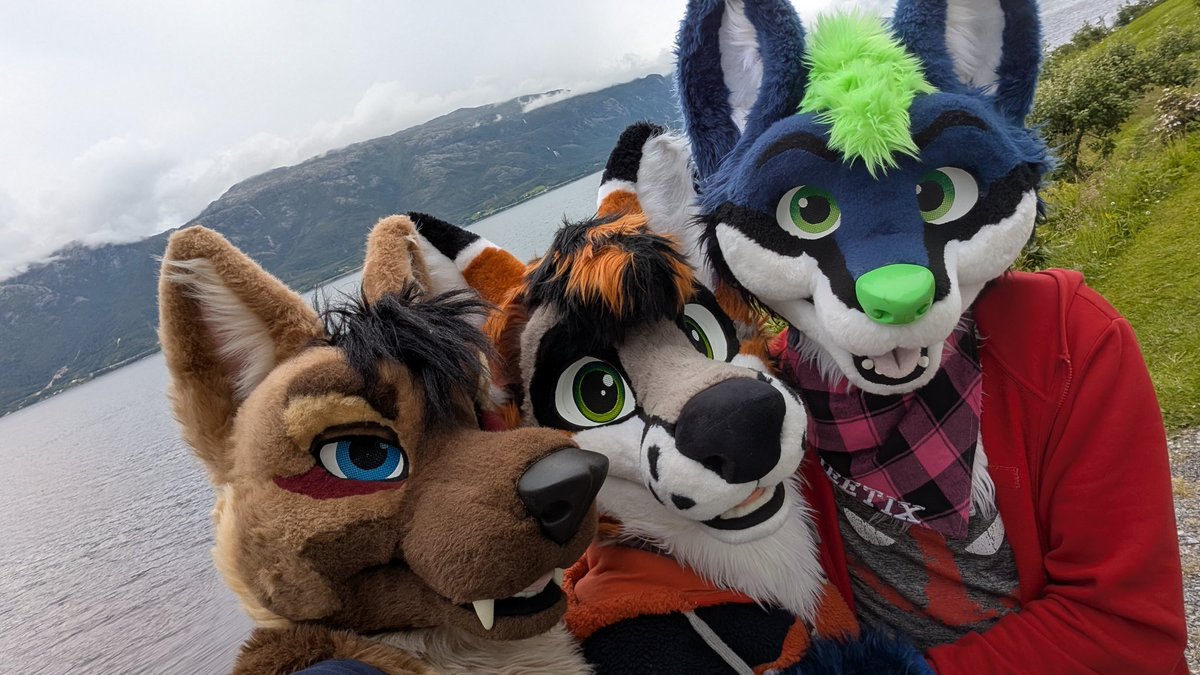 Haven't done a #FursuitFriday in a while 

Featuring <a href="/jeetix/">Jeeti𝕏</a> and <a href="/ThatGreyFox/">Grey 🧡 🇳🇴</a> after a lovely Norway trip