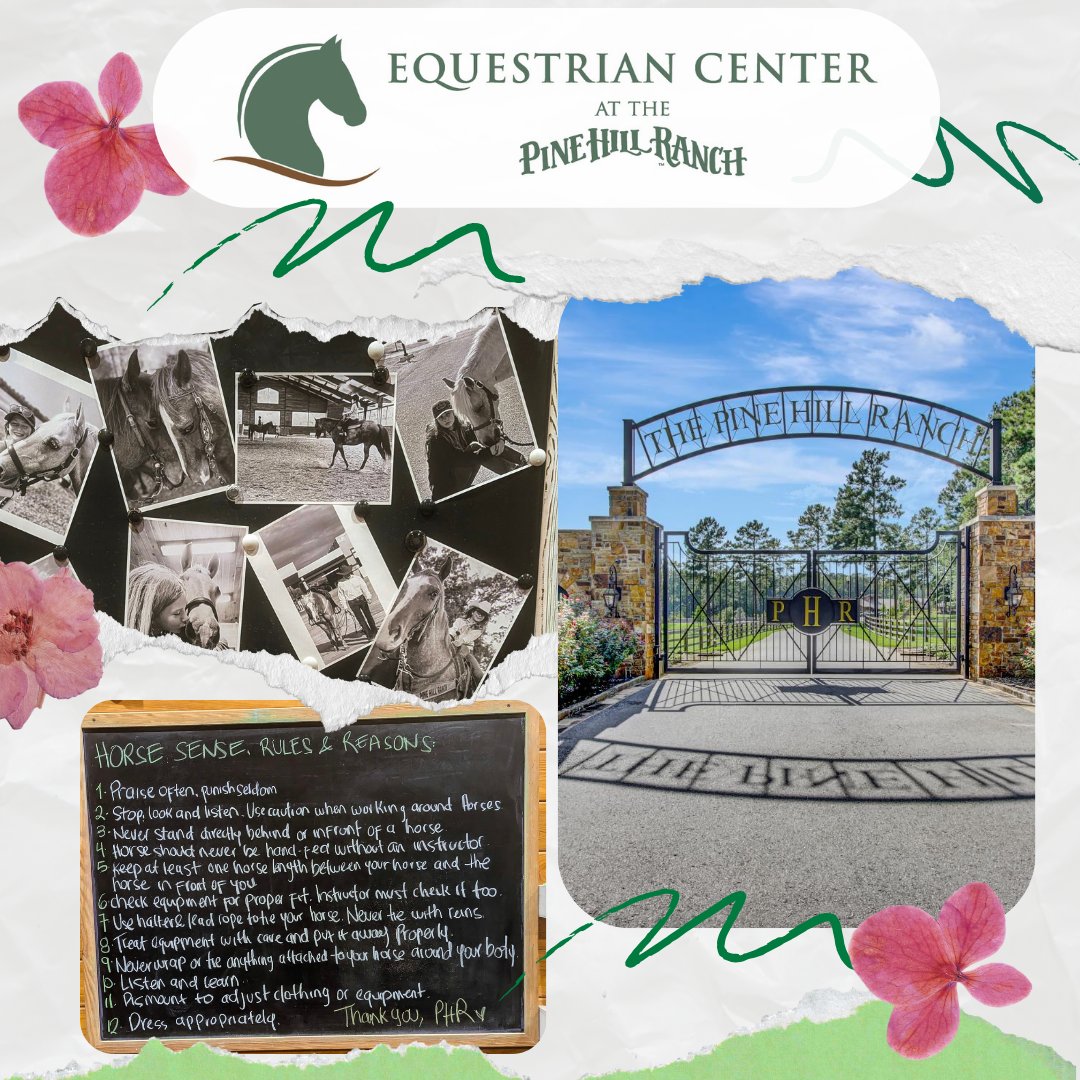 Big news from The Pine Hill Ranch!🤠 We just wrapped up our July business meeting, unveiling some exciting new plans for our riding programs and the upcoming events. The fall season is looking brighter than ever—stay tuned for all the fun and adventure coming your way. 🏇 🐎 📽️