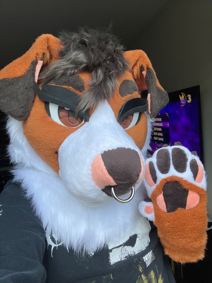 ๐ท๐๐๐๐๐โฅ๏ธ๐AC (@tollerpup) on Twitter photo is sheโฆ yknow๐ซณ๐คโจ
happy first #fursuitfriday with Laurel 2.0 made by my lovely friend <a href="/BoWowBeau/">Beau ๐ Canfur</a> ๐งก is sheโฆ yknow๐ซณ๐คโจ
happy first #fursuitfriday with Laurel 2.0 made by my lovely friend <a href="/BoWowBeau/">Beau ๐ Canfur</a> ๐งก