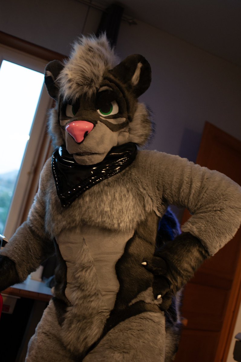 shawn_sk1's tweet image. Who are you looking at?

#FursuitFriday