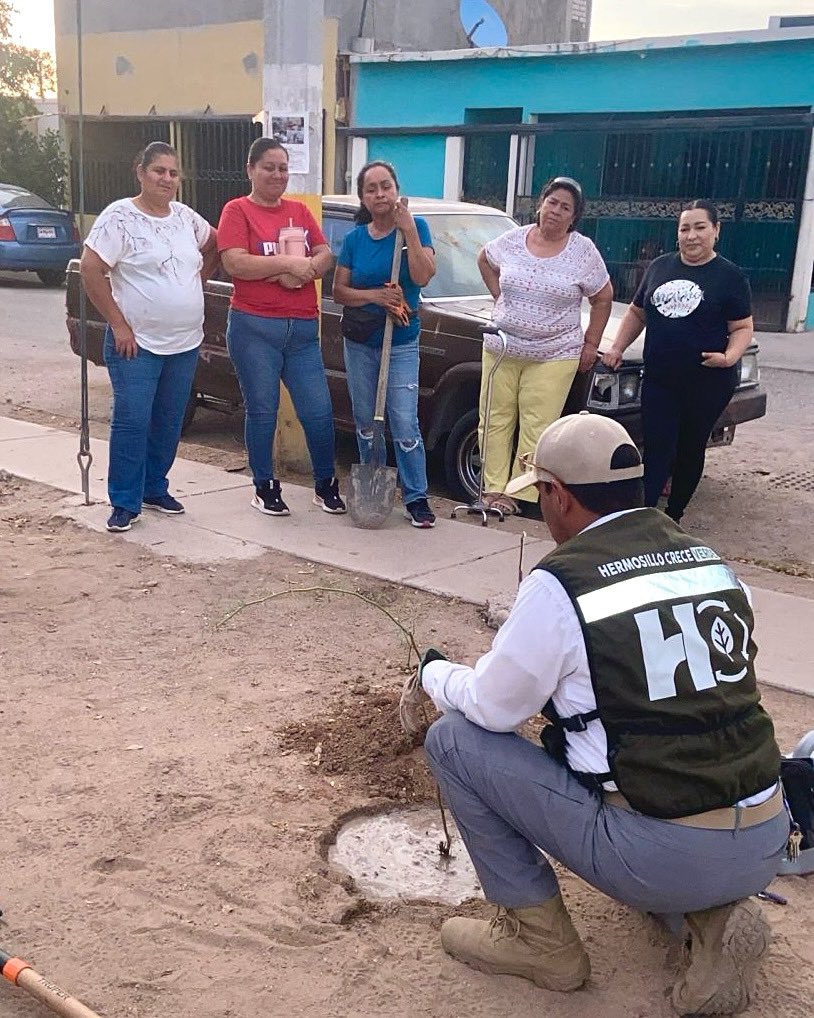 Reforestación con plantas nativas en 📍Dunas.  

¡Gracias a todas y todos los vecinos! con su ayuda, #HermosilloCRECEVerde 🌿