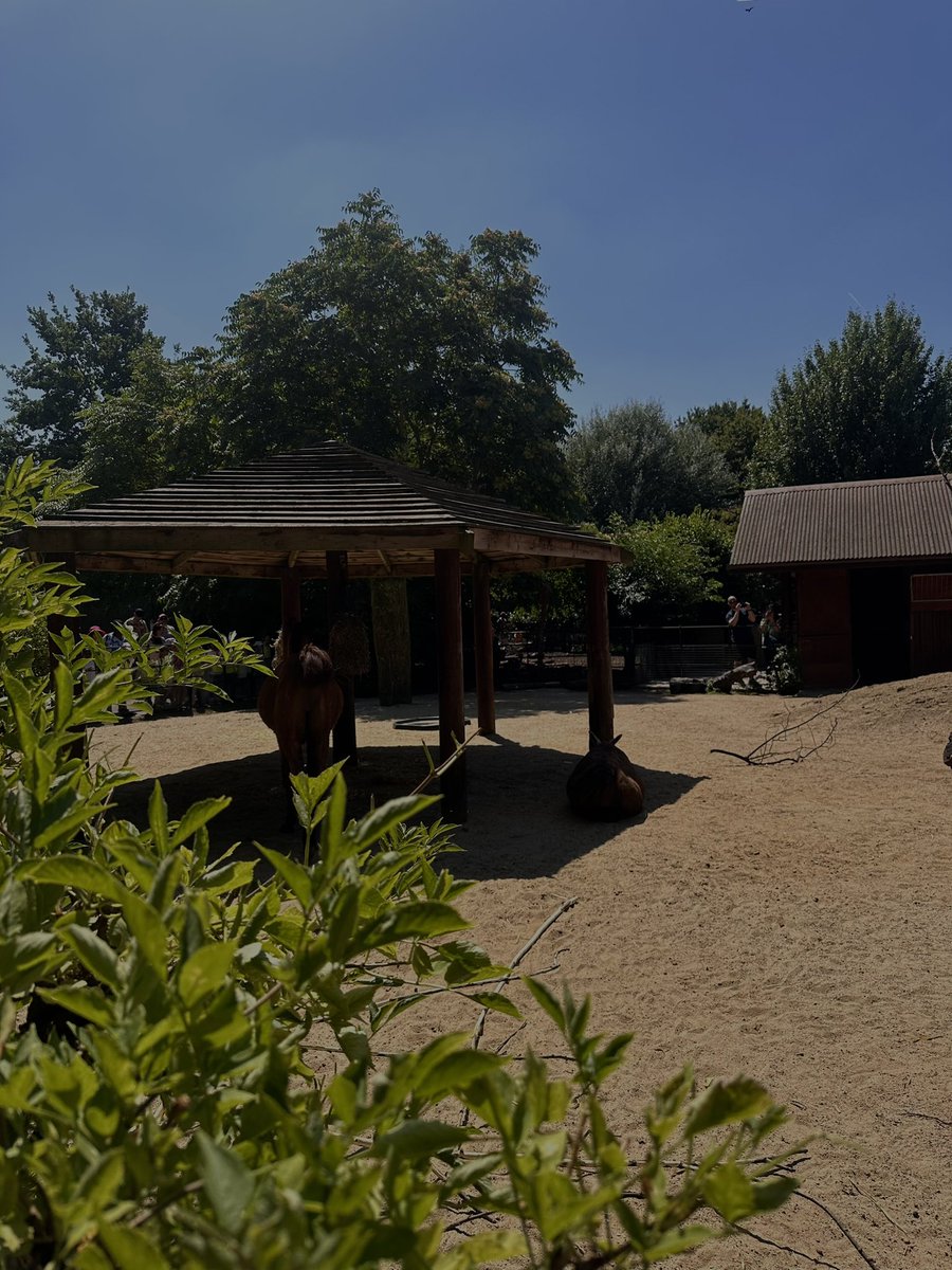 chappy (life updates) tweet media