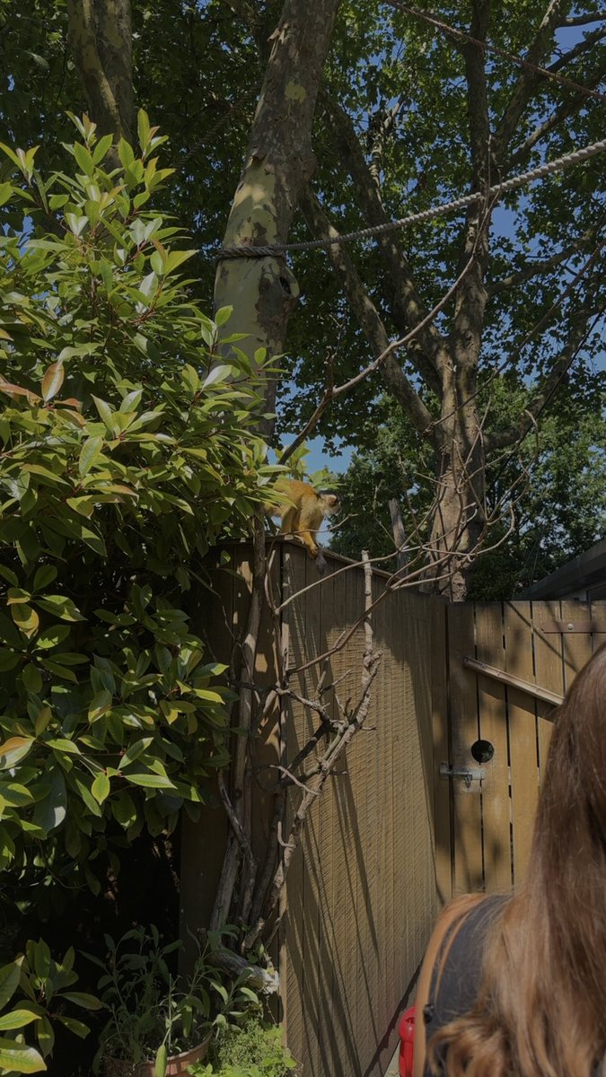 chappy (life updates) tweet media