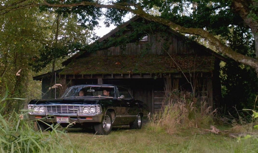 dreamland (@dreamland_usa) on Twitter photo 