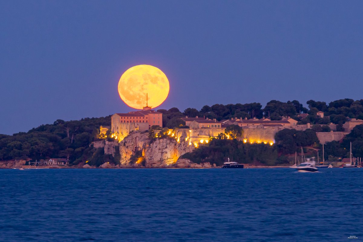 Slpcannes tweet picture